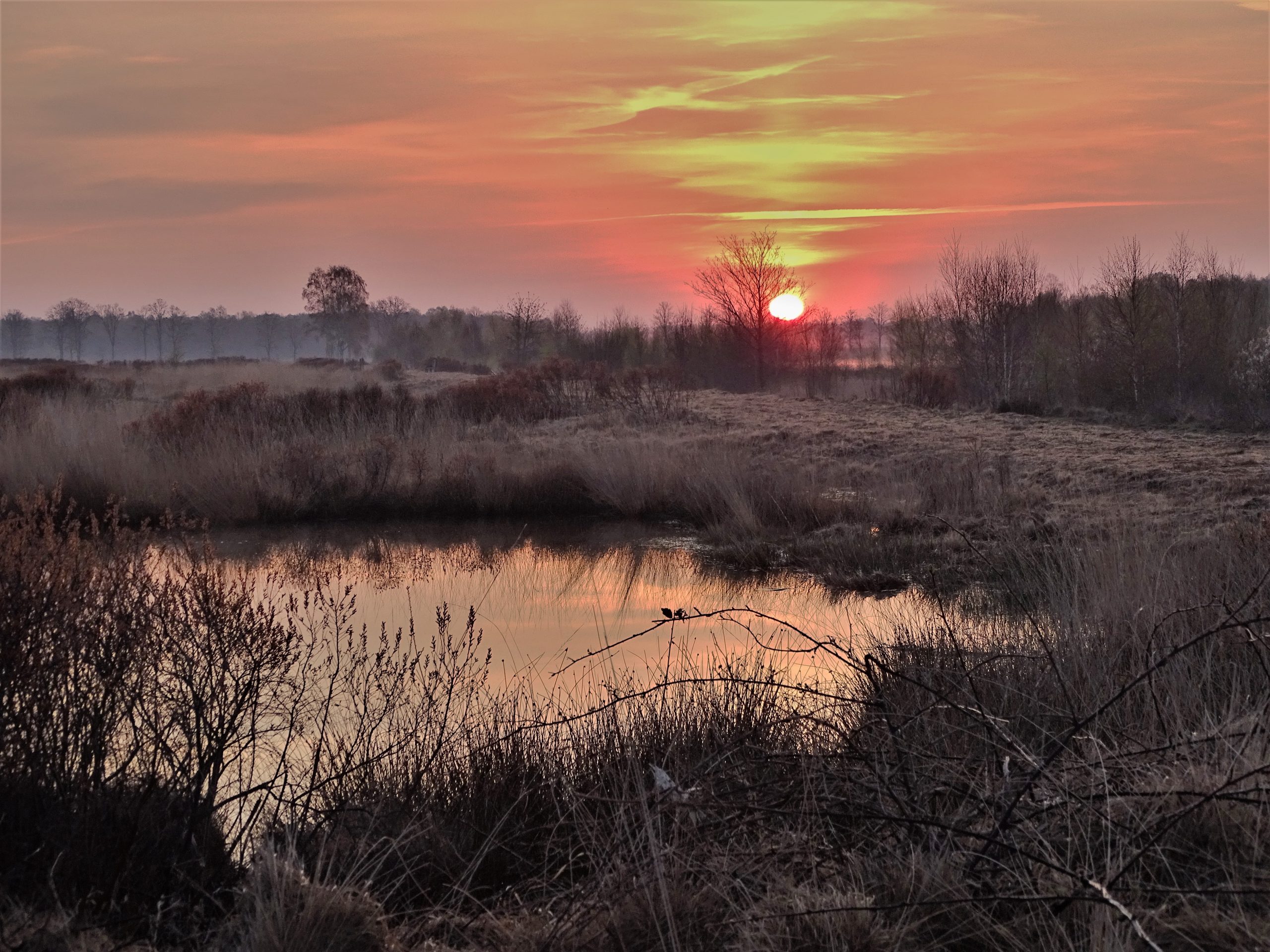 Lees meer over het artikel De laatste vlucht van “De Winterkraaien”