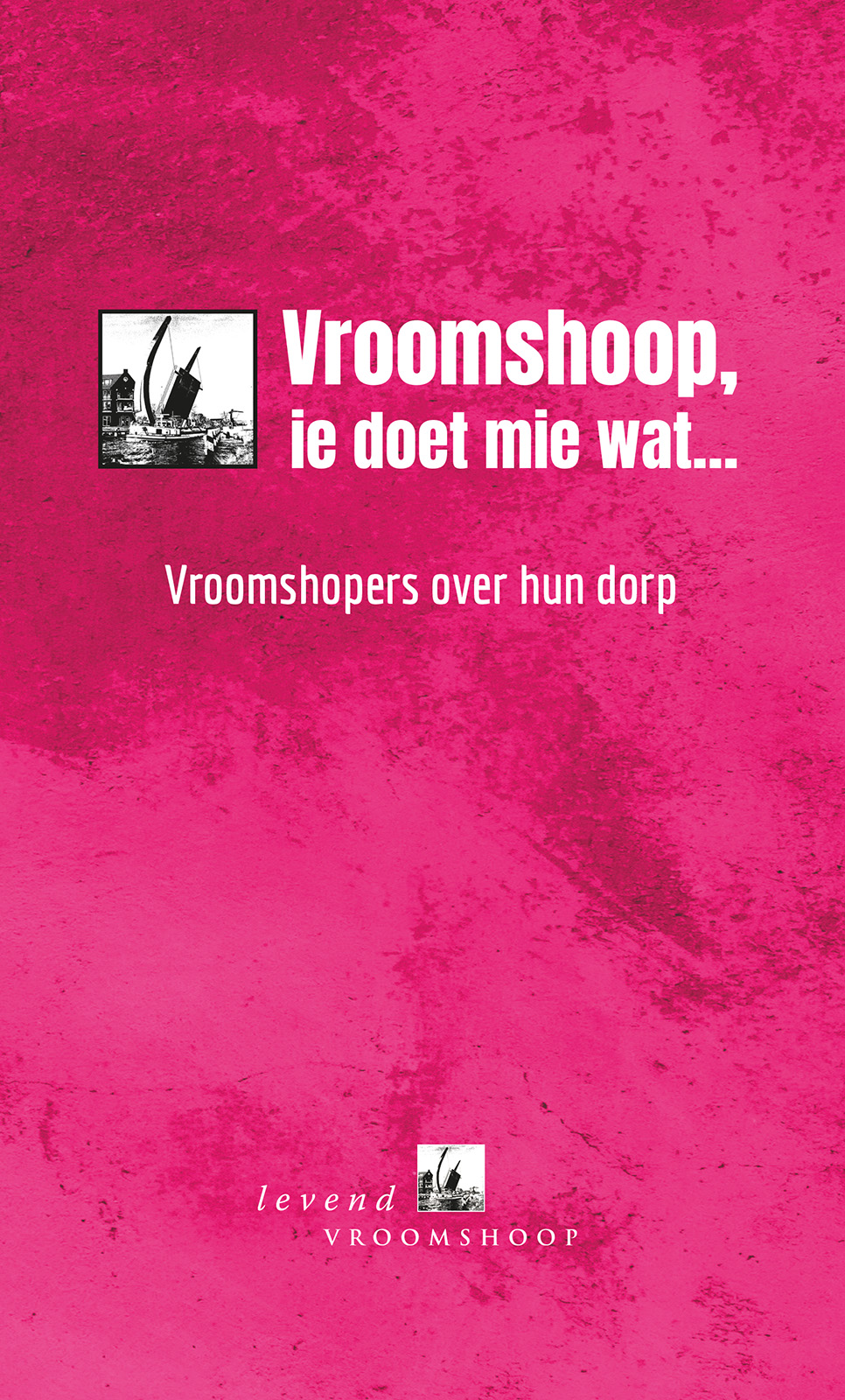 Lees meer over het artikel Presentatie 11 december bijzonder Vroomshoop-boek